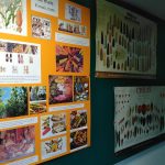 Foto de erick martinez (2)